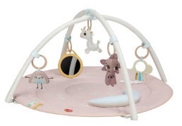 UNICORN WONDERLANDS DEVELOPMENTAL GYMINI 1